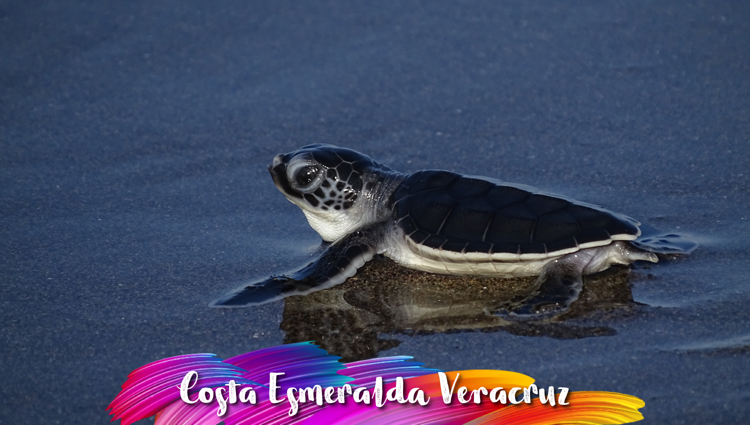 Costa Esmeralda Veracruz